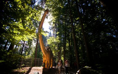 Dino Parc, destinația părinților și copiilor în săptămâna Școala Altfel